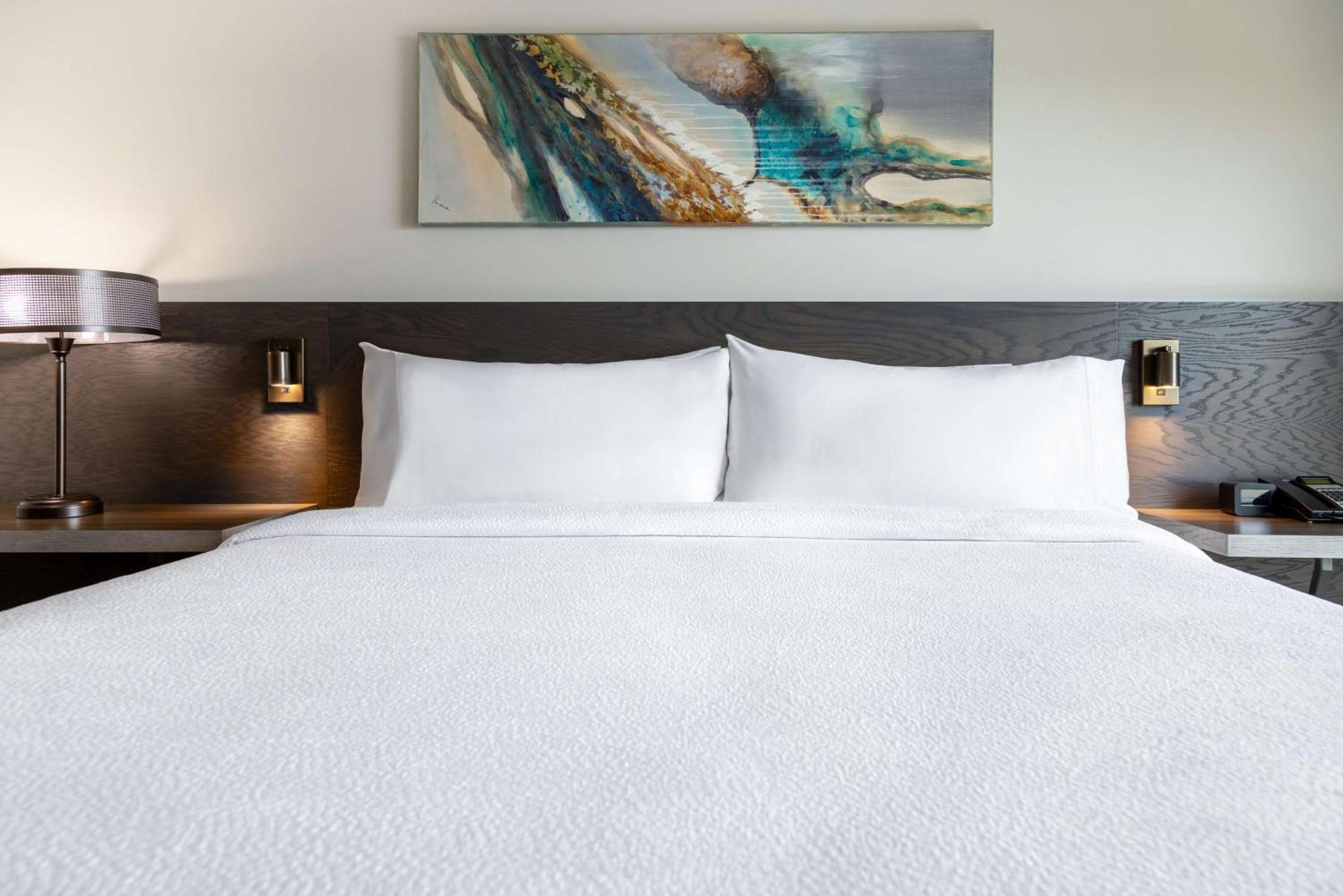 Hilton Garden Inn Фредериктон Экстерьер фото